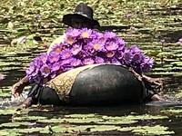 IMG_1361