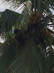 IMG_1273