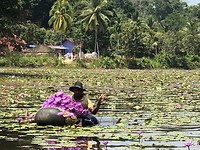 IMG_1358