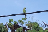 IMG_1257