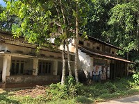 IMG_1299