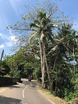 IMG_1303