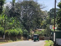 IMG_1307