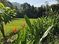 IMG_1282