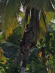 IMG_1271