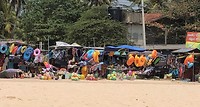IMG_1453