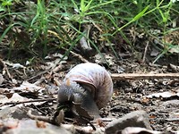 IMG_3071