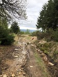 IMG_3078