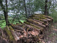 IMG_3080
