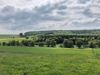 IMG_4221