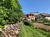 IMG_4525