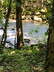 IMG_4526