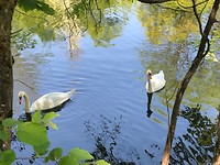 IMG_4534