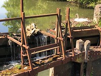 IMG_4543