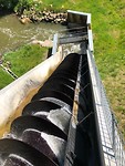 IMG_4554
