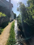 IMG_4591