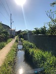 IMG_4594
