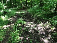 IMG_5182