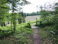 IMG_5189