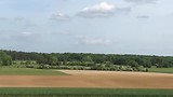Grasland