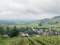 IMG_6535