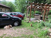 IMG_7133