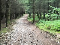 IMG_7152