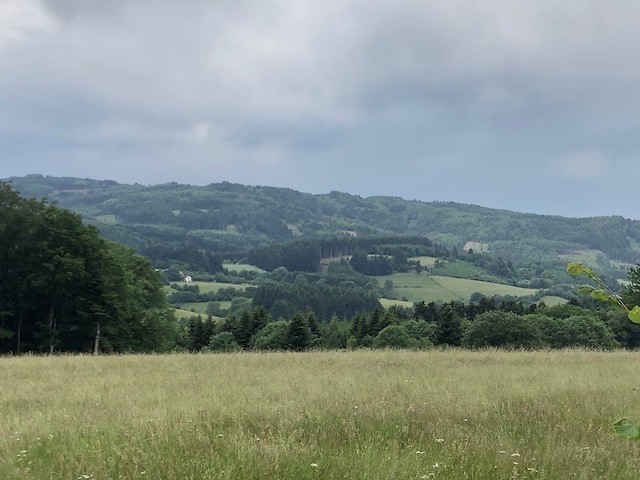 IMG_7154