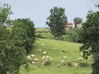 IMG_7156