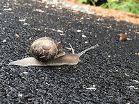 IMG_7261
