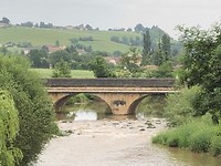 IMG_7264