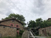 IMG_8226