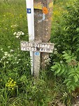 IMG_8227