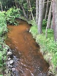 IMG_8240