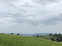 IMG_8244
