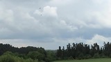Slangadelaar.  1,8 meter vleugelbreedte.