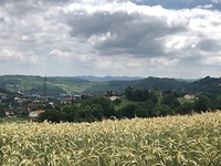 IMG_9642
