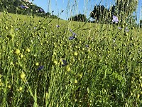 IMG_0326
