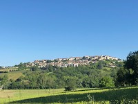IMG_0327