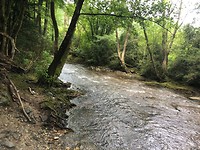 IMG_2093