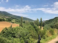 IMG_2098