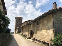 IMG_2100