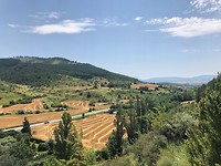 IMG_2110