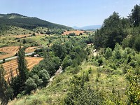 IMG_2111