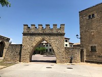 IMG_2289