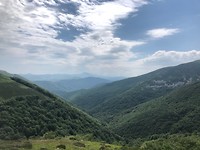 IMG_1937