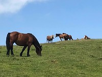 IMG_1942