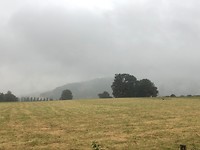 IMG_1595