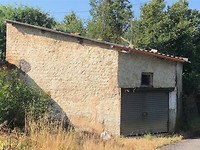 IMG_4350