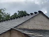 IMG_5268